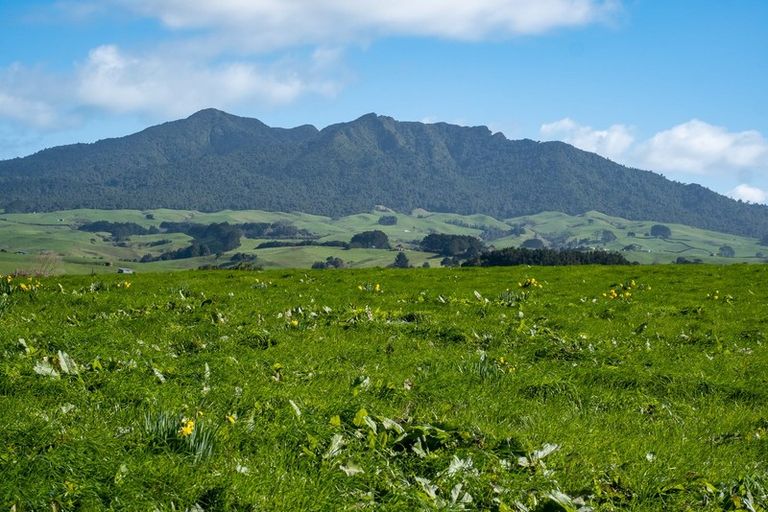 Photo of property in 697 Maungatawhiri Road, Raglan, 3295