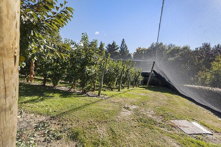 Photo of property in 244 Ripponvale Road, Cromwell, 9384