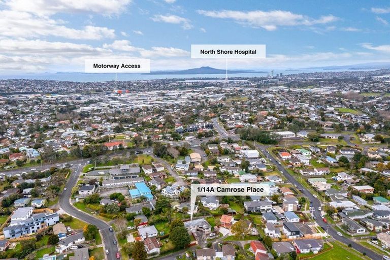 Photo of property in 1/14a Camrose Place, Glenfield, Auckland, 0629