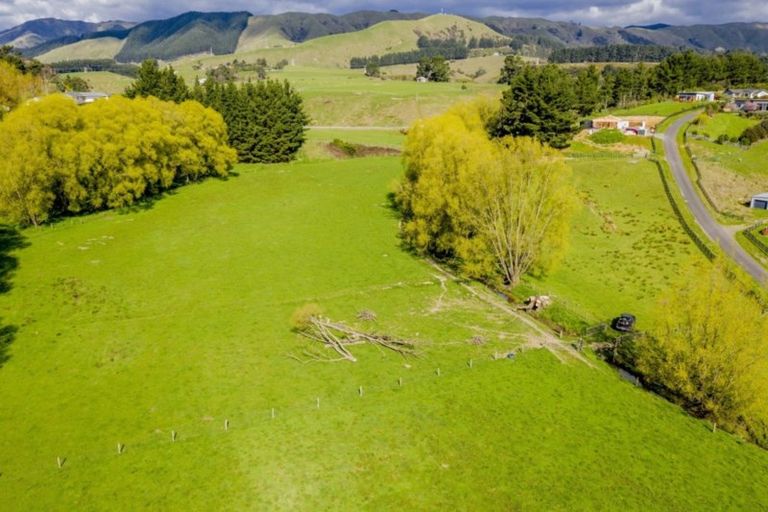 Photo of property in 9 Buckley Road, Shannon, Palmerston North, 4474