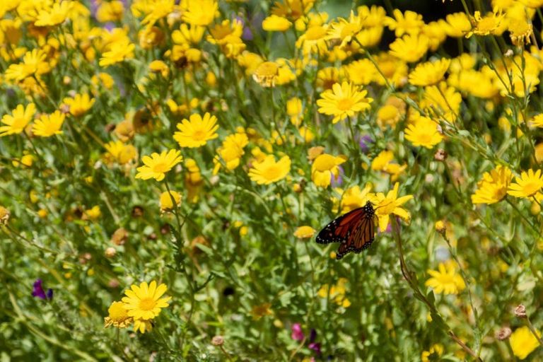 Photo of property in 90-92 Kiwi Road, Raumati Beach, Paraparaumu, 5032