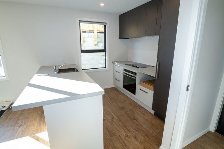 Photo of property in 16 Peter Street, Caversham, Dunedin, 9012