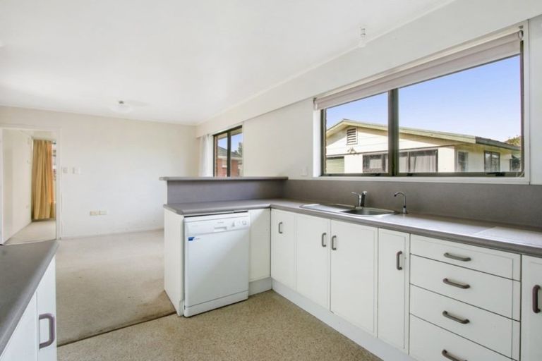 Photo of property in 141 Park Road, Katikati, 3129