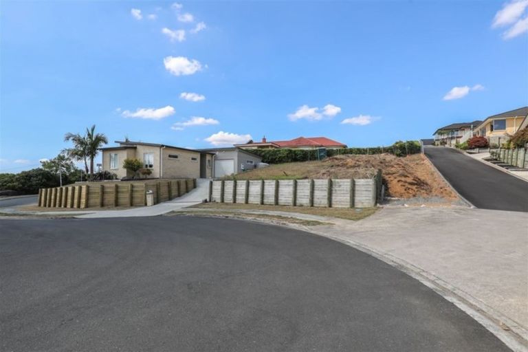 Photo of property in 9 Gregson Drive, Huntly, 3700