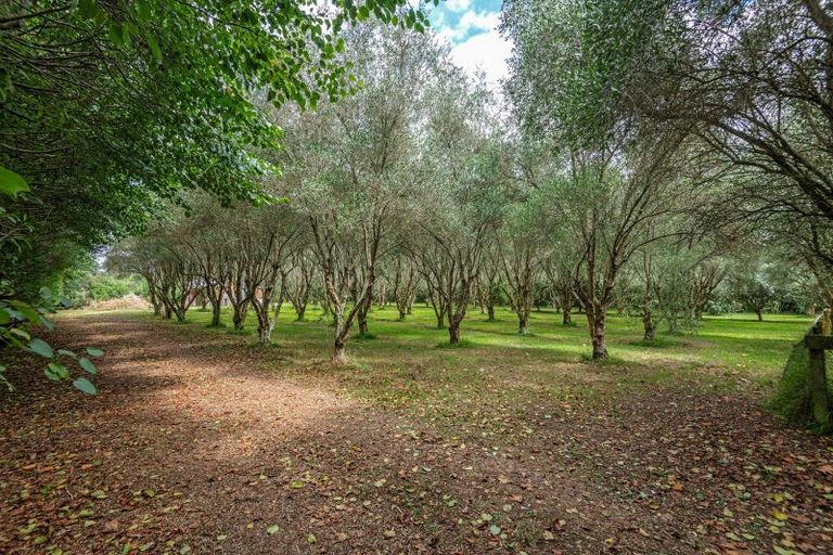 Photo of property in 49 Joblins Road, Levin, 5571