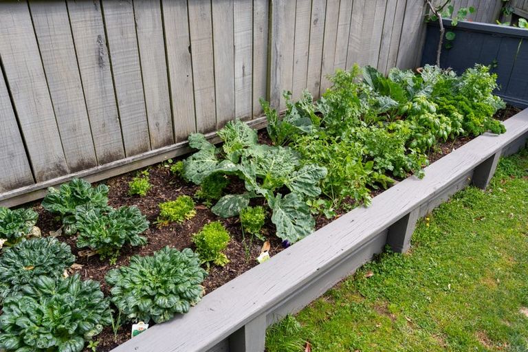 Photo of property in 11 Sedgley Grove, Churton Park, Wellington, 6037