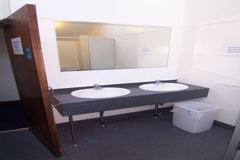 Photo of property in 113 Coromandel Street, Newtown, Wellington, 6021