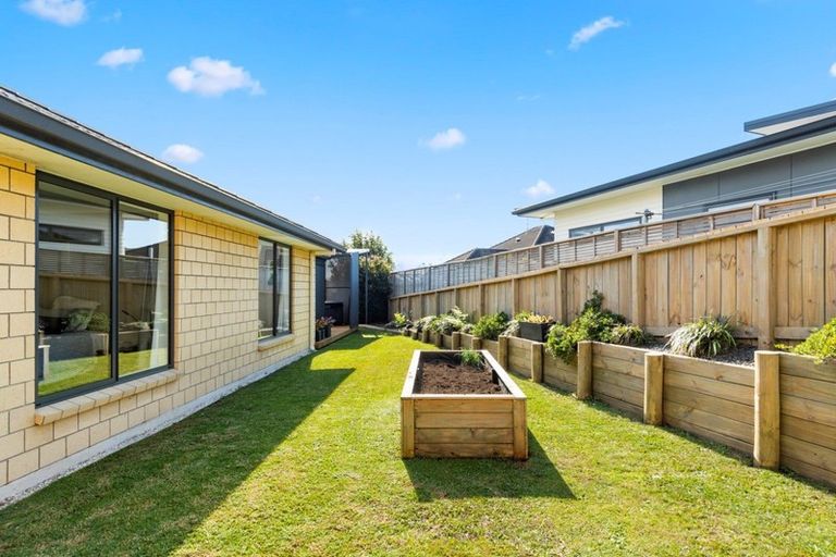 Photo of property in 5 Rexford Heights, Pyes Pa, Tauranga, 3112