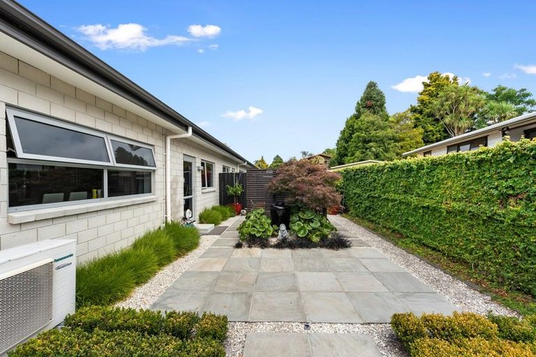 Photo of property in 1/50 Kowhai Street, Hamilton Lake, Hamilton, 3204