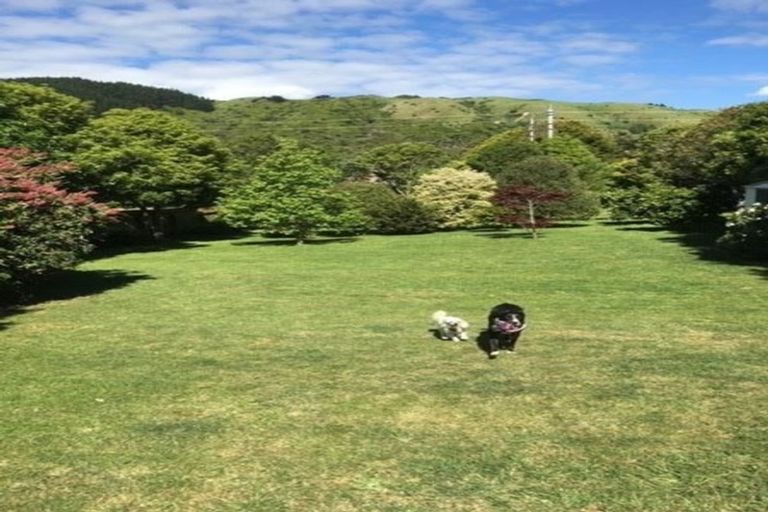 Photo of property in 44 Awatea Avenue, Paraparaumu, 5032