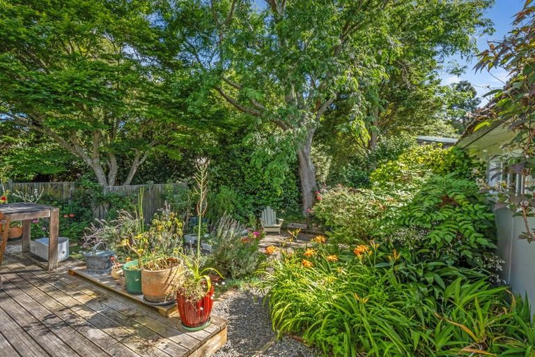 Photo of property in 20 Collingwood Street, Hokowhitu, Palmerston North, 4410