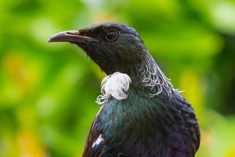 Photo of property in 30 Camerons Road, Okaramio, Havelock, 7178