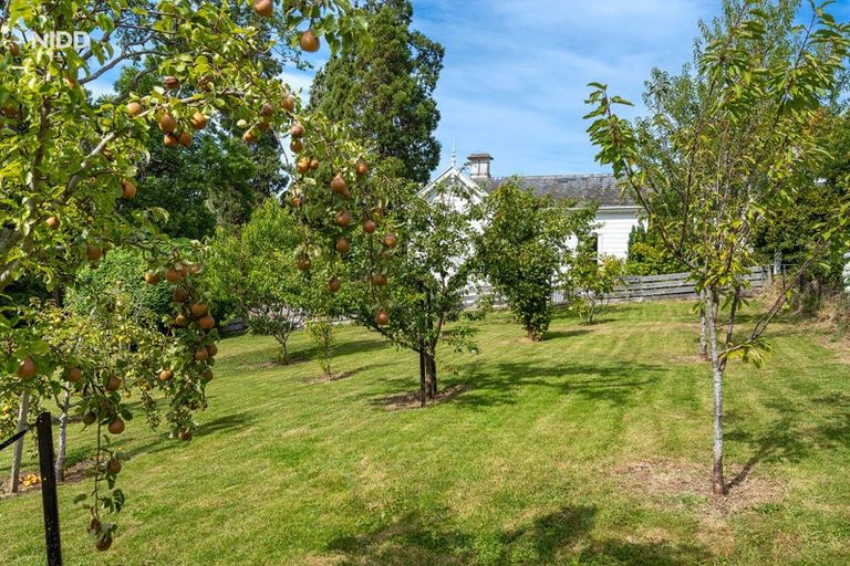 Photo of property in 297 Wakari Road, Helensburgh, Dunedin, 9010
