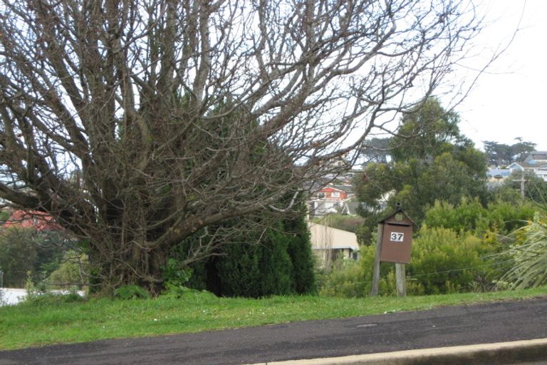 Photo of property in 37 Aberdeen Road, Saint Clair, Dunedin, 9012