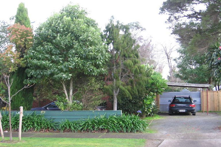 Photo of property in 115 Limbrick Street, Terrace End, Palmerston North, 4410