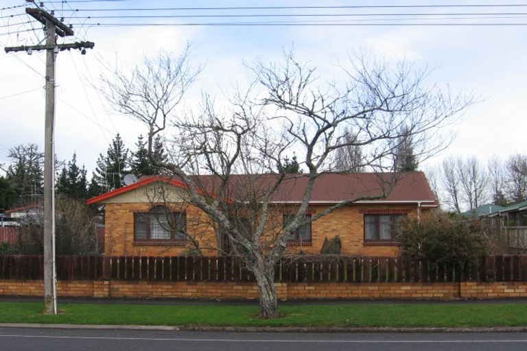 Photo of property in 113 Rimu Street, Maeroa, Hamilton, 3200