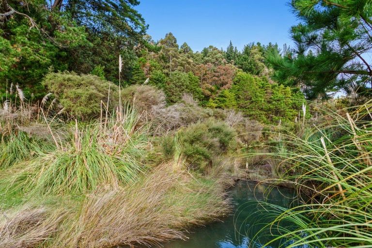 Photo of property in 180b Paparoa Road, Wainui, Whakatane, 3198