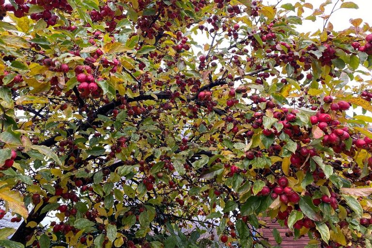 Photo of property in 12b Mount Iron Drive, Wanaka, 9305