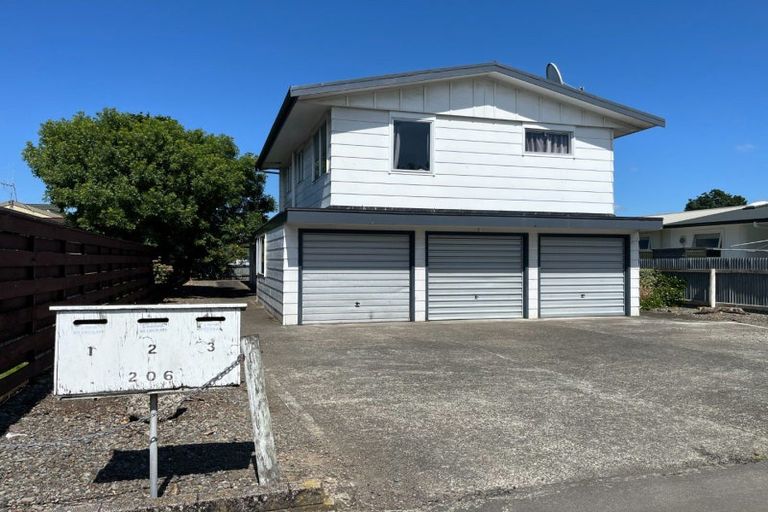 Photo of property in 3/206 Ruahine Street, Roslyn, Palmerston North, 4414
