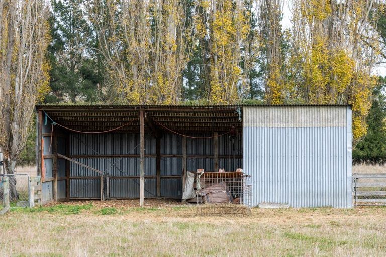 Photo of property in 86 Johnstone Street, Tinwald, Ashburton, 7774