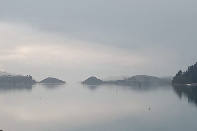 Photo of property in 72 Saint Leonards Drive, Saint Leonards, Dunedin, 9022