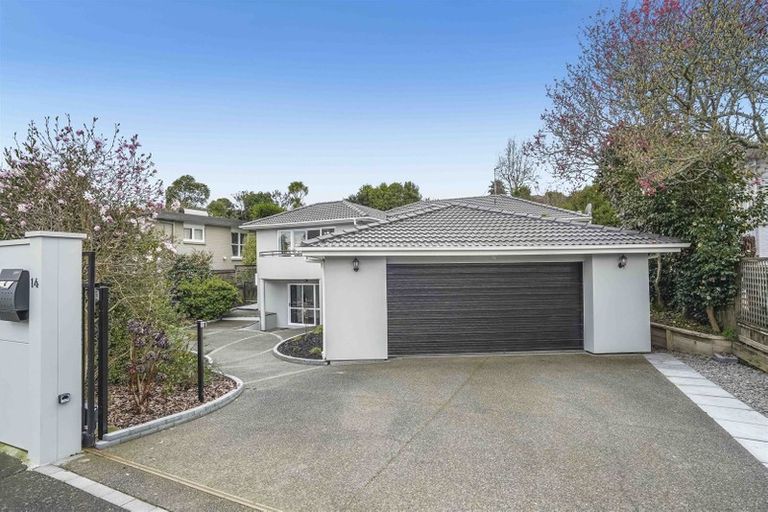 Photo of property in 14 Riverview Terrace, Fairfield, Hamilton, 3214