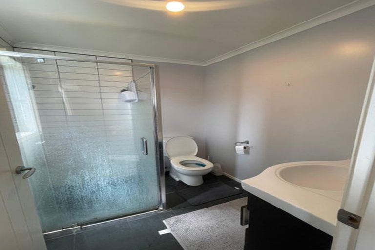 Photo of property in 217b Killarney Road, Frankton, Hamilton, 3204