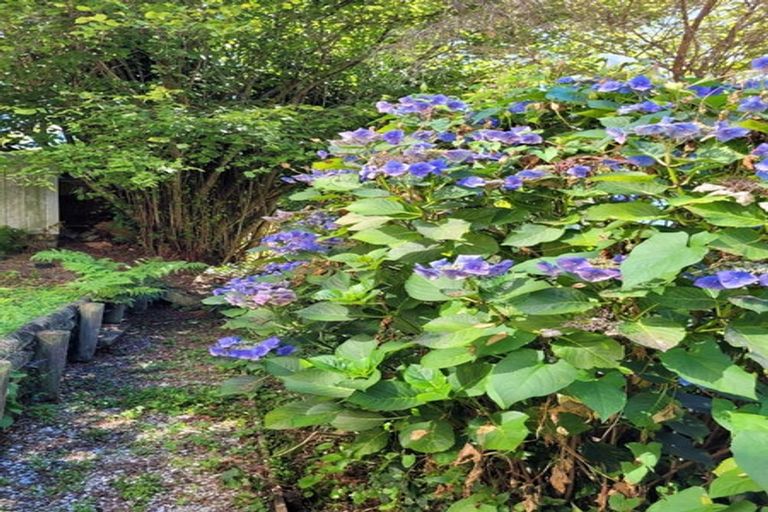 Photo of property in 187a Quebec Road, Washington Valley, Nelson, 7010