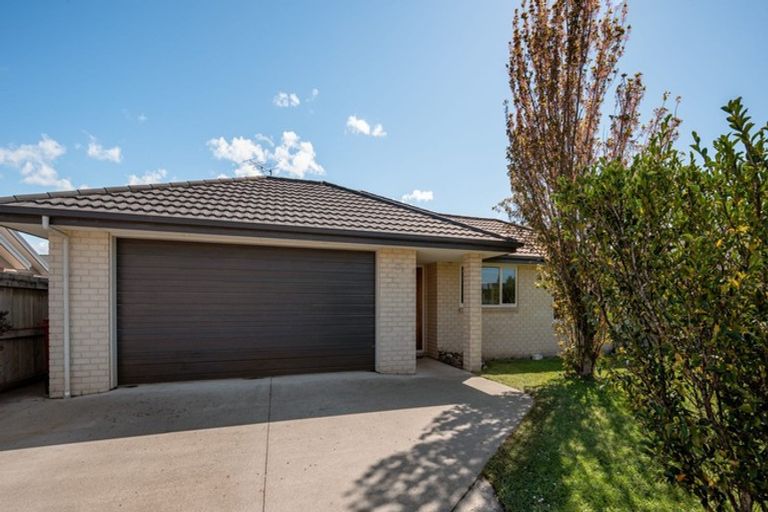Photo of property in 17 Alma Street, Renwick, 7204