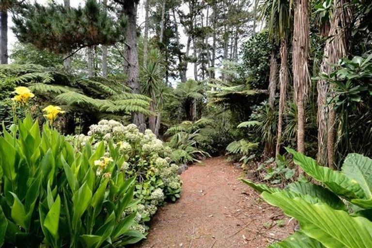 Photo of property in 9 Kauri Road, Whenuapai, Auckland, 0618