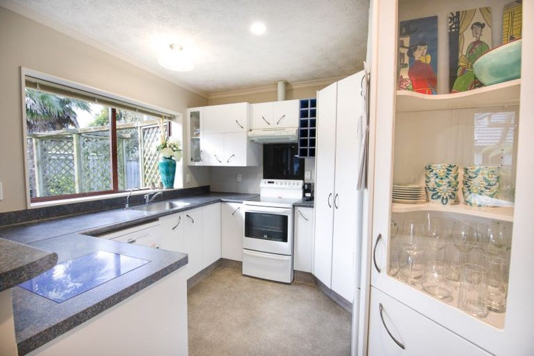 Photo of property in 19 Bucksburn Place, Greenmeadows, Napier, 4112