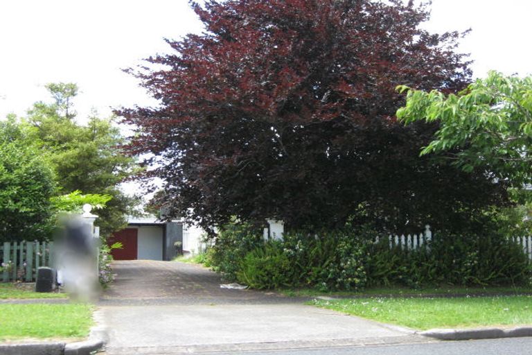 Photo of property in 6 Emsworth Court, Pukekohe, 2120