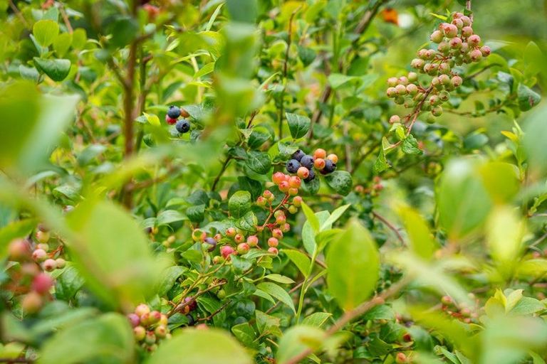 Photo of property in 1229a Akatarawa Road, Akatarawa, Upper Hutt, 5372