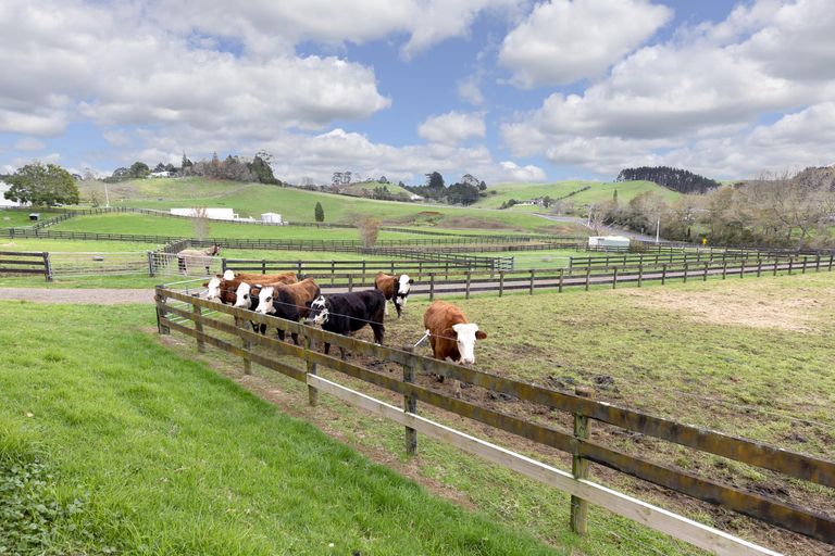 Photo of property in 814 Paparata Road, Mangatawhiri, Bombay, 2675