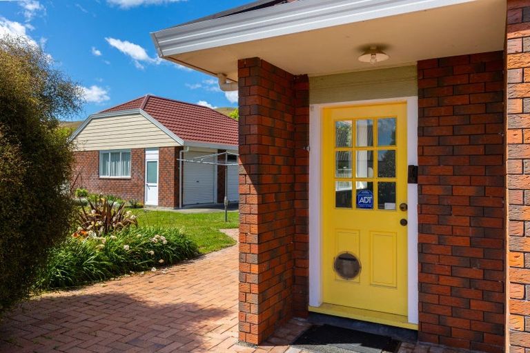 Photo of property in 225 Redwood Street, Witherlea, Blenheim, 7201