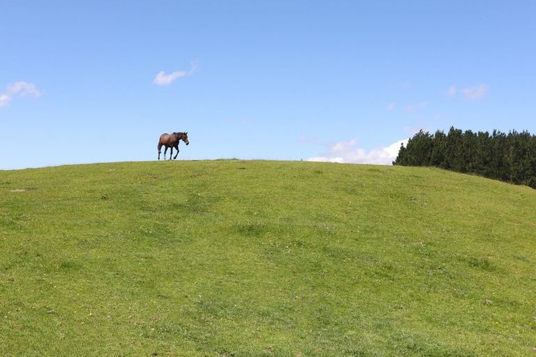 Photo of property in 50 Highland View Drive, Tokomaru, Palmerston North, 4474