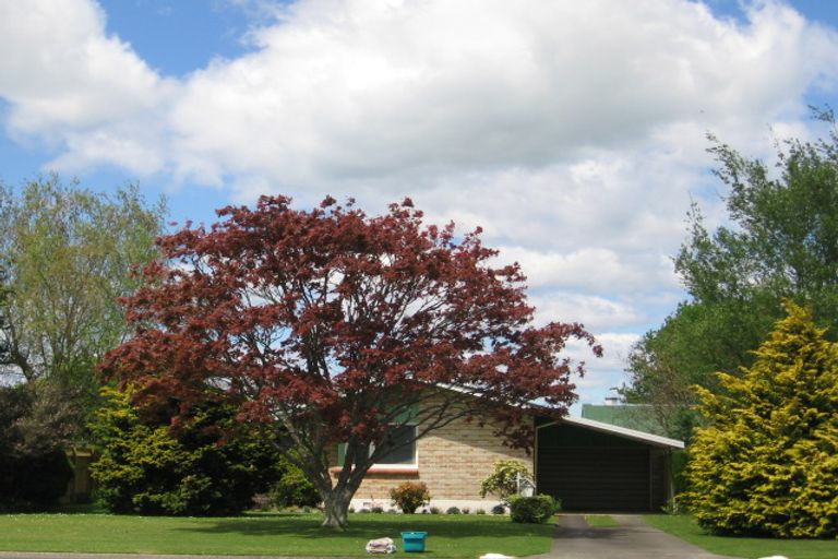 Photo of property in 14 Burwood Road, Matamata, 3400