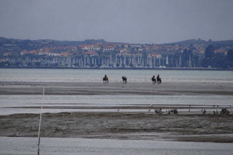 Photo of property in 109 Okura River Road, Okura, Auckland, 0792