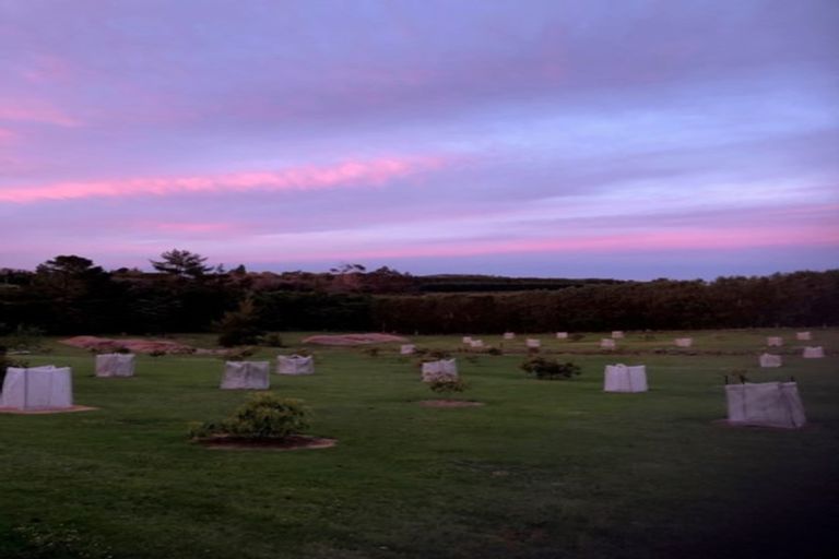 Photo of property in 94a Martray Road, Tahawai, Katikati, 3170