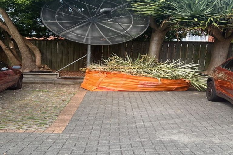 Photo of property in 19 East Coast Road, Milford, Auckland, 0620