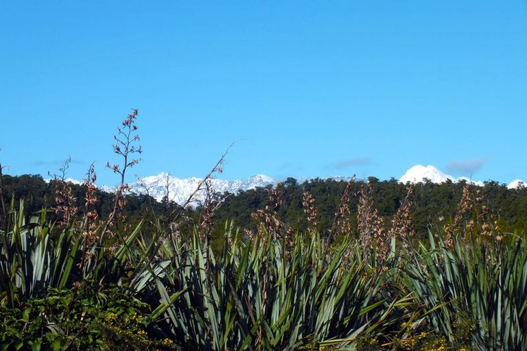 Photo of property in 65 The Strand, Okarito, Whataroa, 7886