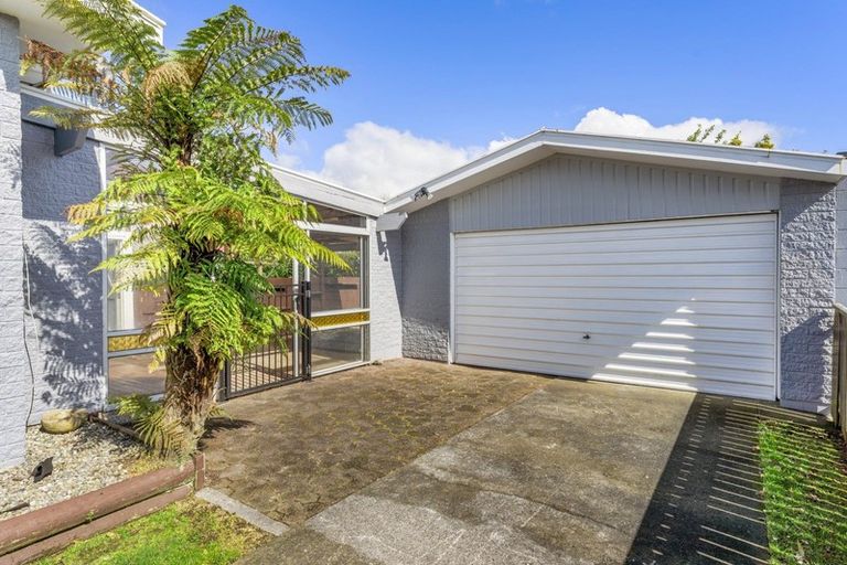 Photo of property in 20 Nikau Street, Inglewood, 4330