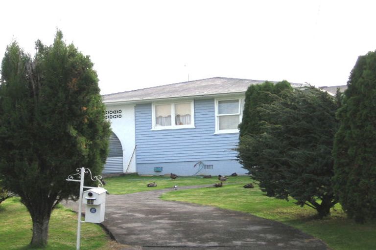 Photo of property in 32 Tiroroa Avenue, Te Atatu South, Auckland, 0610