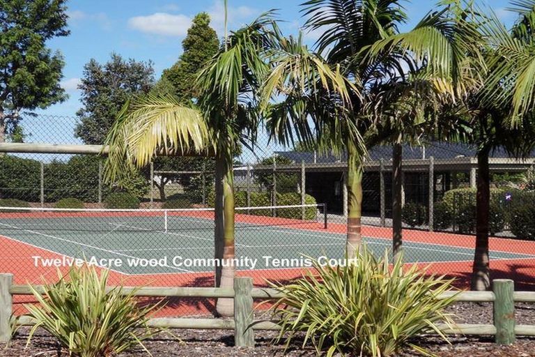 Photo of property in 46 Contour Avenue, Pyes Pa, Tauranga, 3112