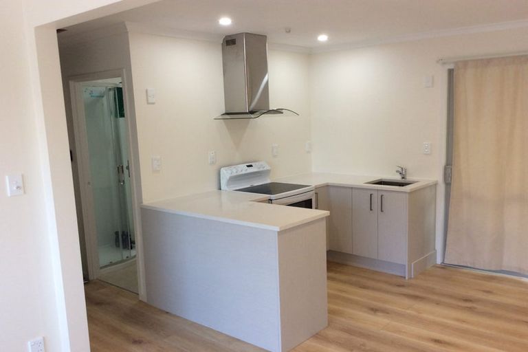 Photo of property in 17 Sapphire Place, Bayview, Auckland, 0629