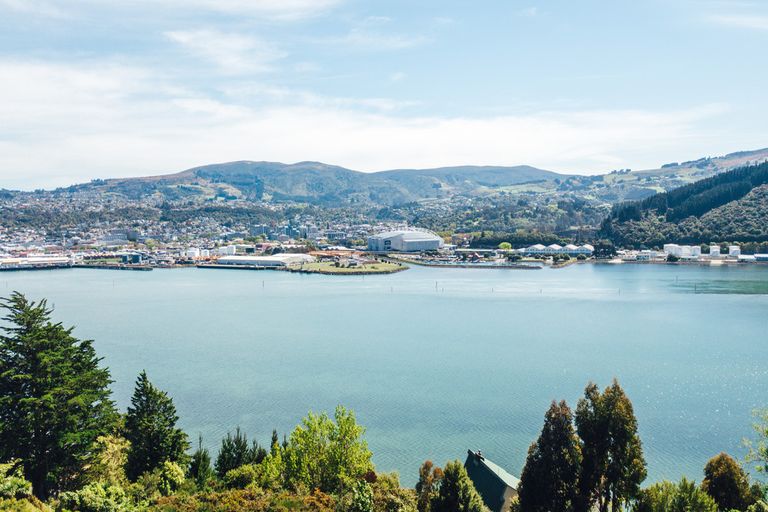 Photo of property in 105a Doon Street, Waverley, Dunedin, 9013