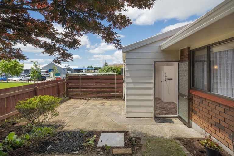 Photo of property in 29a Hayes Avenue, Gate Pa, Tauranga, 3112