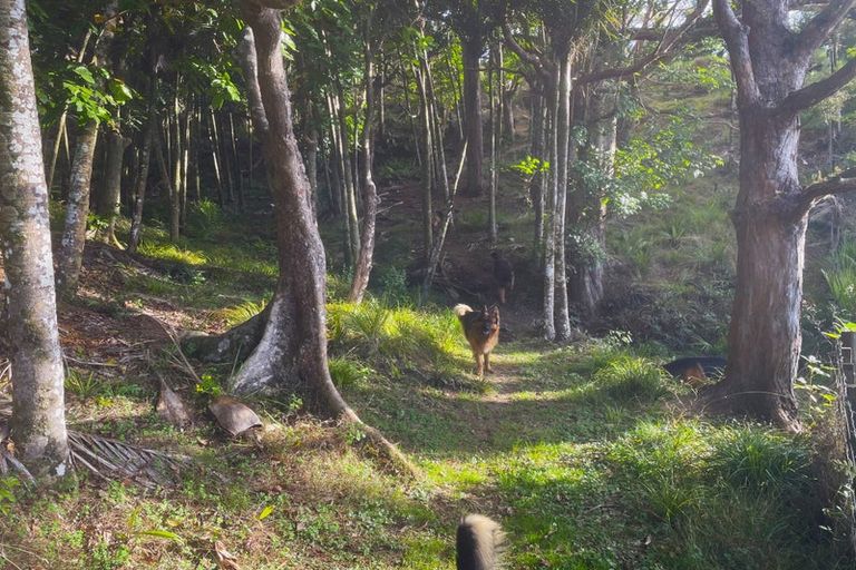 Photo of property in 847 Pekerau Road, Lake Ohia, Kaitaia, 0483