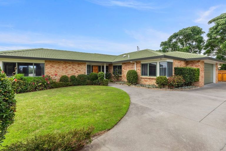 Photo of property in 31 Plateau Heights, Mount Maunganui, 3116