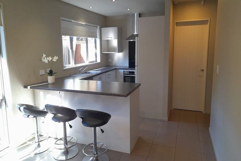 Photo of property in 41a Gibbon Street, Sydenham, Christchurch, 8023